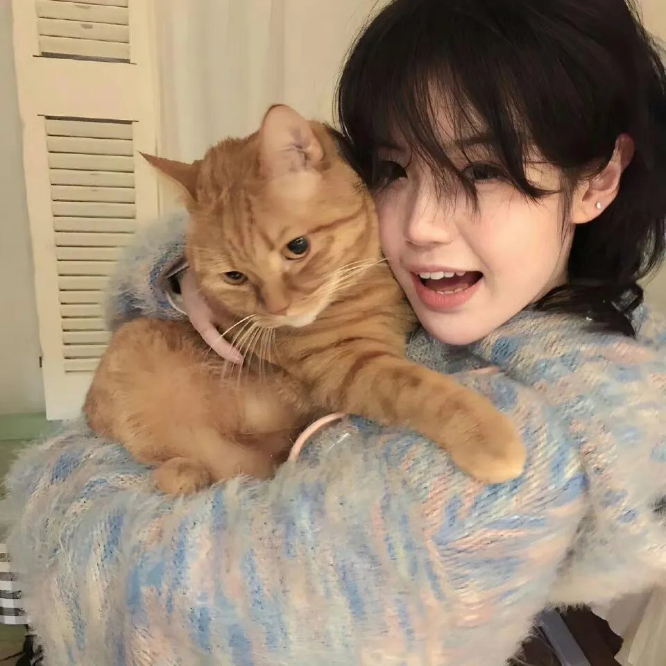 第二十条之倒反天纲